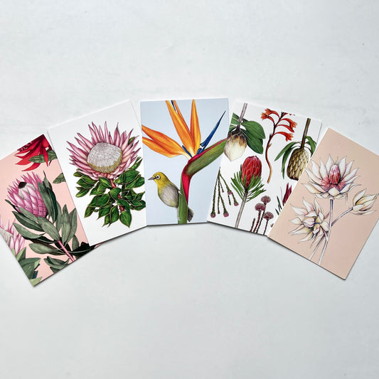 Cards: A6 Greeting (Assorted Designs)